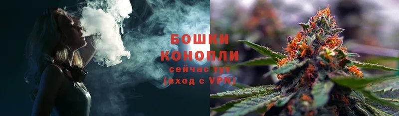 Каннабис White Widow  Грозный 